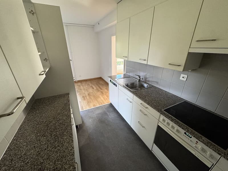4 1/2-Zimmerwohnung, Parterre links (4)
