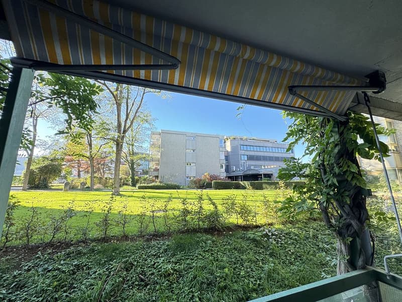 4 1/2-Zimmerwohnung, Parterre links (12)