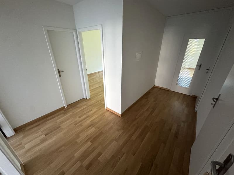 4 1/2-Zimmerwohnung, Parterre links (2)