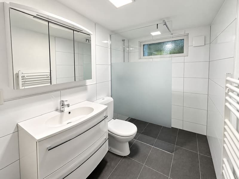 2-Zimmerwohnung, Untergeschoss (5)