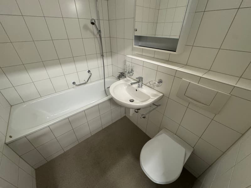 3 1/2-Zimmerwohnung, 1. Stock rechts (7)