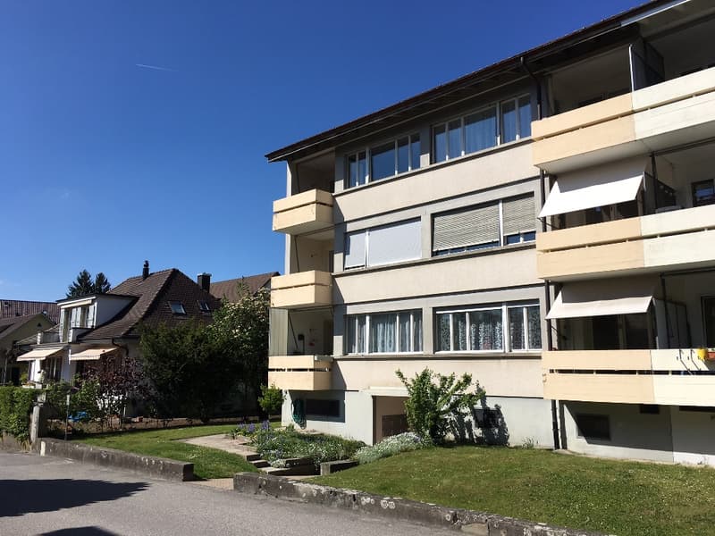 Schöne 3 1/2-Zimmerwohnung, 1. Stock links (1)
