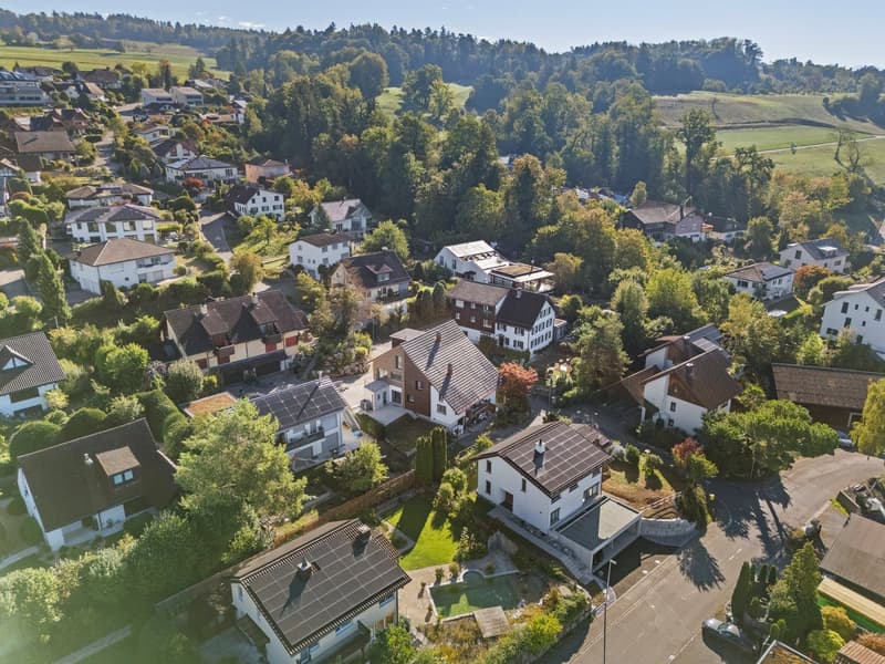 Ein Neubau-Einfamilienhaus, das Geschichte und Zukunft vereint (2)