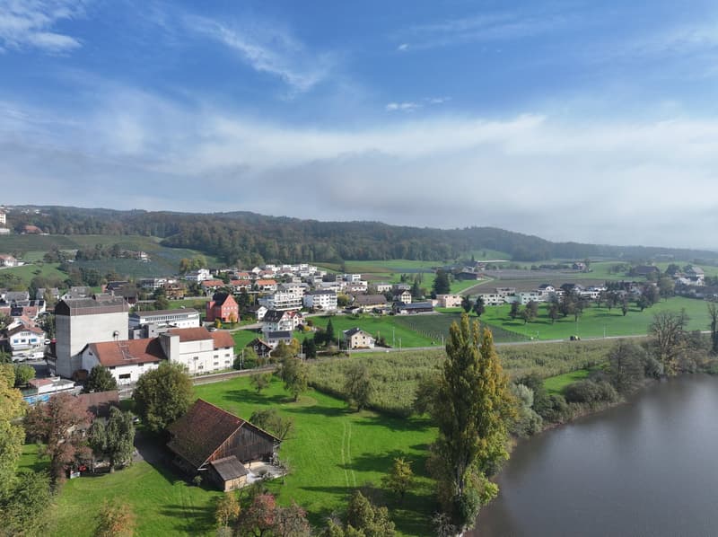 «Turmfalke» in Gelfingen: Wohn- und Lebensgenuss am Baldeggersee. (5)