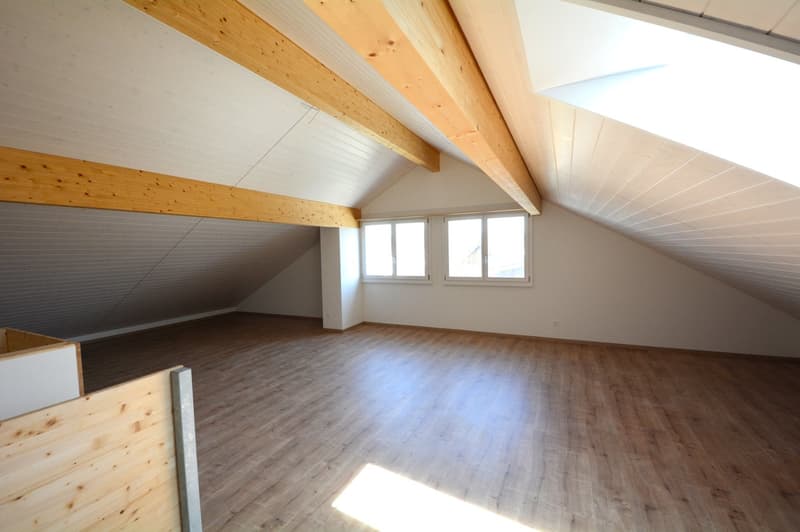Grosszügige 6.5-Zimmer-Reihenhäuser – Neubauten in Rupperswil (14)