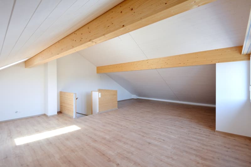 Grosszügige 6.5-Zimmer-Reihenhäuser – Neubauten in Rupperswil (13)