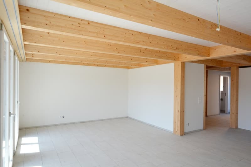 Grosszügige 6.5-Zimmer-Reihenhäuser – Neubauten in Rupperswil (7)
