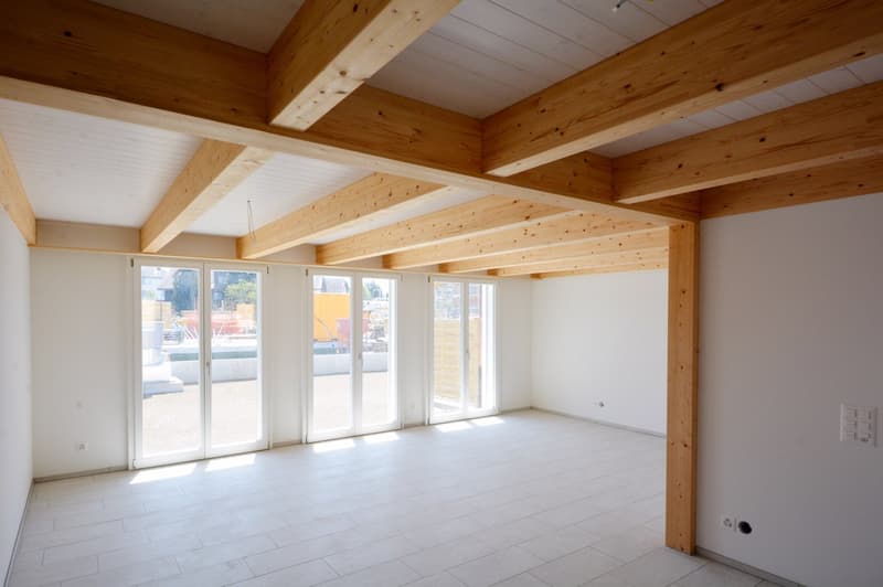 Grosszügige 6.5-Zimmer-Reihenhäuser – Neubauten in Rupperswil (8)