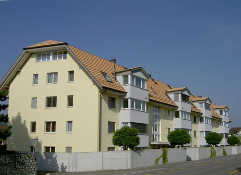 Grosszügige 5½-Zimmer-Dach-Maisonettewohnung (1)