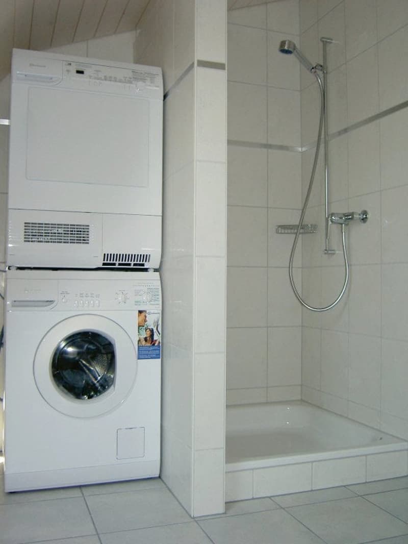 Grosszügige 5½-Zimmer-Dach-Maisonettewohnung (7)