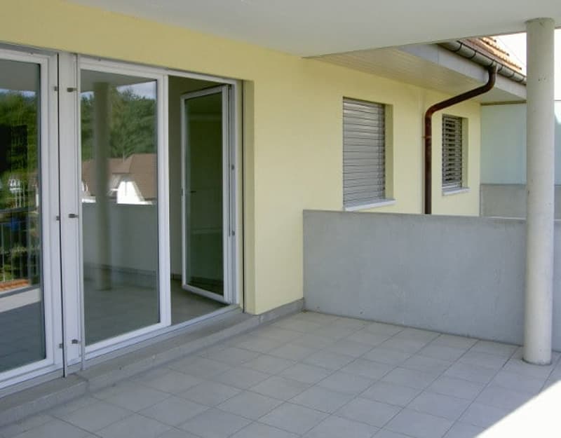 5½-Zimmer-Wohnung mit Blick ins Grüne und zum Jura (7)