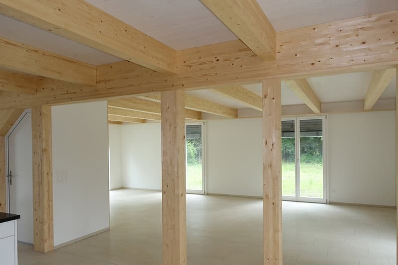 Neues Traumhaus in Murgenthal, Riken (3)