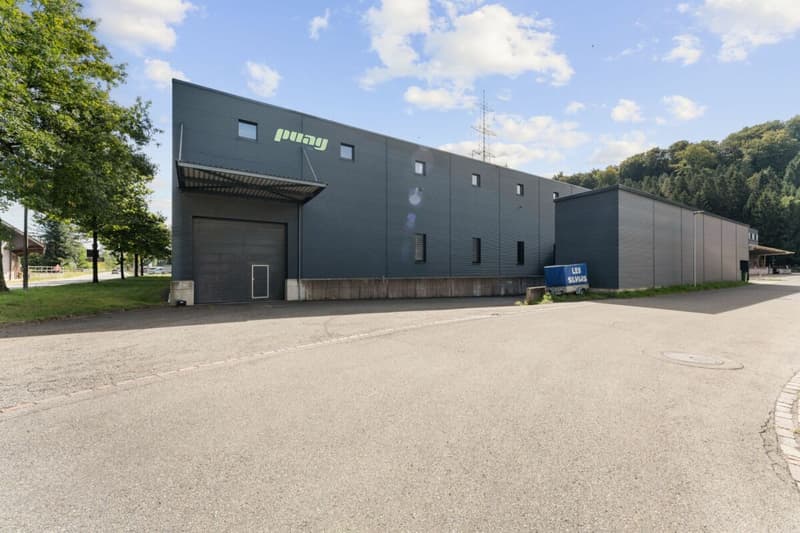 Geschäftshaus mit 10 m Hochregallager und 800 m2 Büro zentral im Mittelland (9)