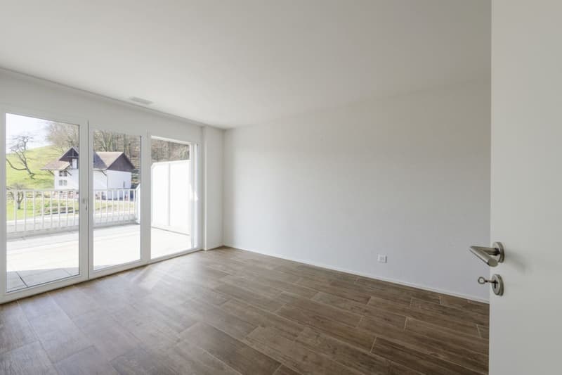 Attikawohnung mit 90 m2 Terrasse und Schlossblick (5)