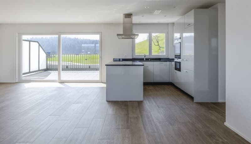 Attikawohnung mit 90 m2 Terrasse und Schlossblick (1)