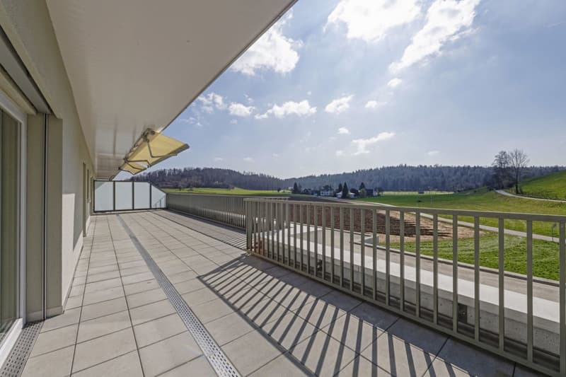 Attikawohnung mit 90 m2 Terrasse und Schlossblick (12)