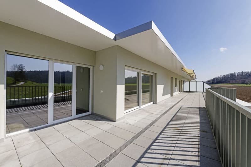 Attikawohnung mit 90 m2 Terrasse und Schlossblick (11)