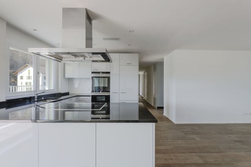 Attikawohnung mit 90 m2 Terrasse und Schlossblick (8)