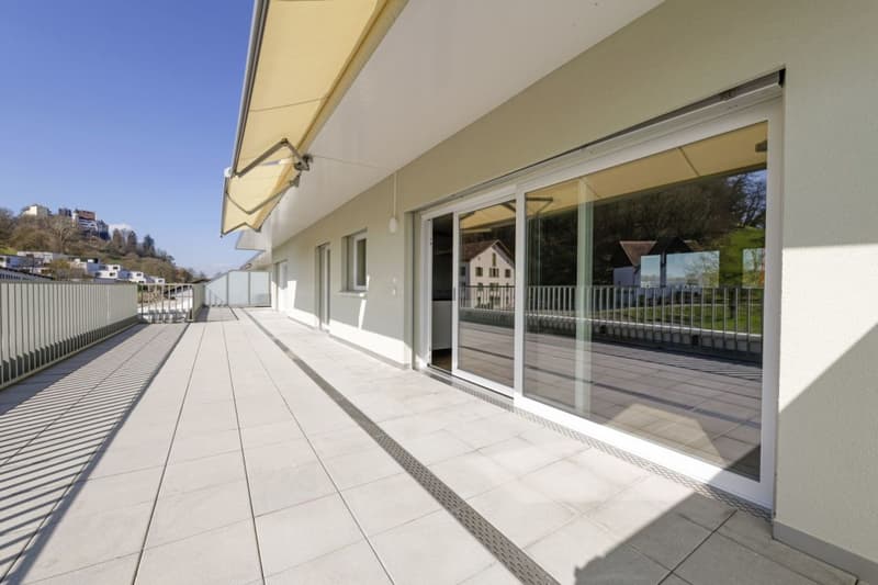 Attikawohnung mit 90 m2 Terrasse und Schlossblick (10)