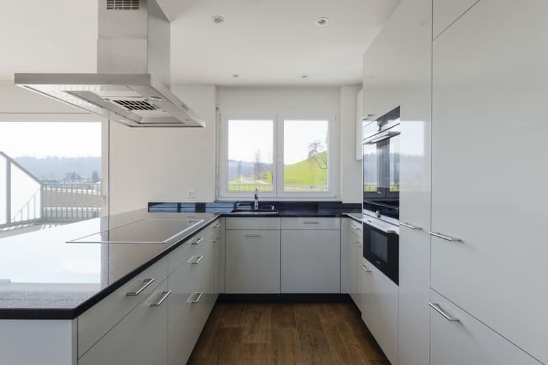 Attikawohnung mit 90 m2 Terrasse und Schlossblick (9)
