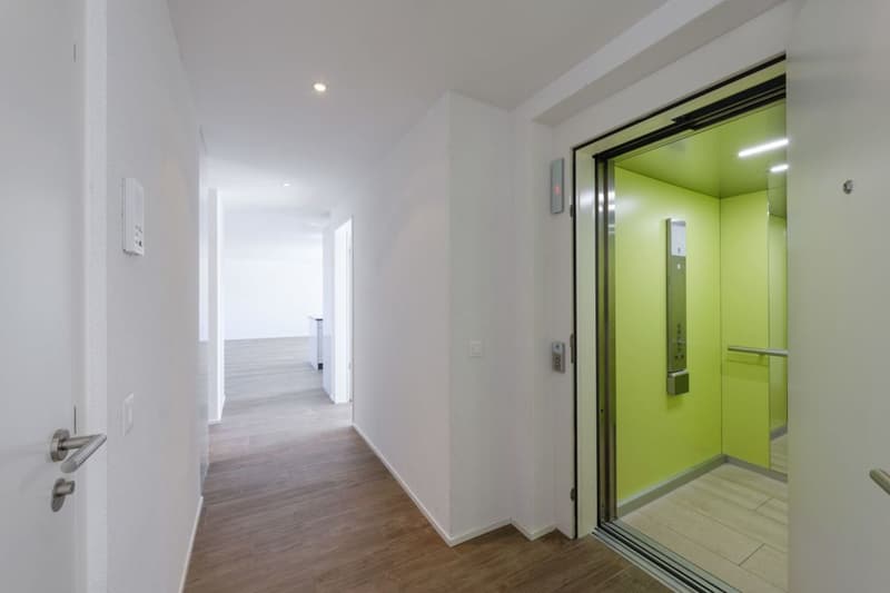 Attikawohnung mit 90 m2 Terrasse und Schlossblick (4)