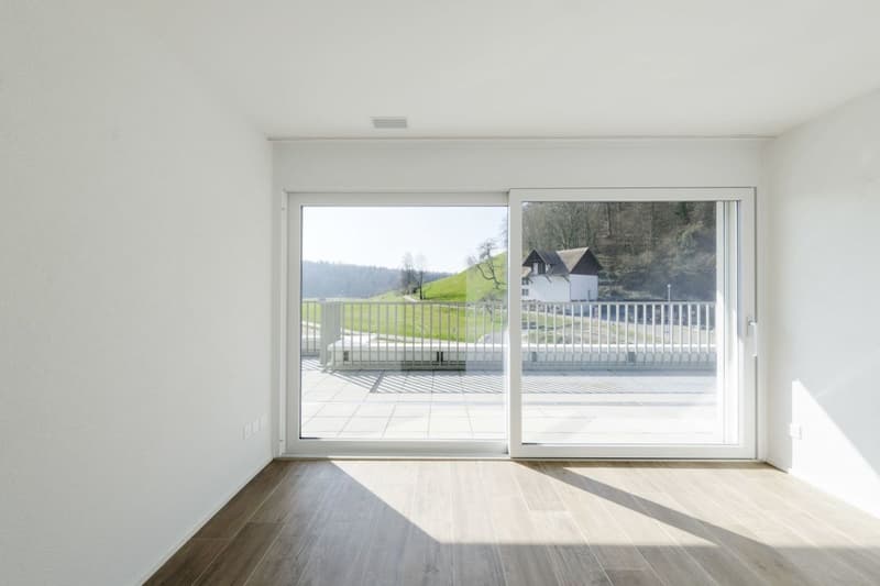 Attikawohnung mit 90 m2 Terrasse und Schlossblick (2)