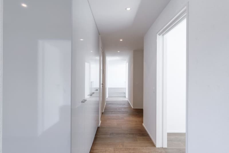 Attikawohnung mit 90 m2 Terrasse und Schlossblick (3)