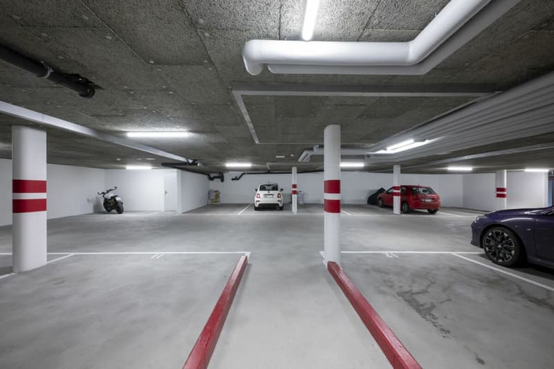 2.5 Zimmer Wohnung in 5242 Lupfig (9)