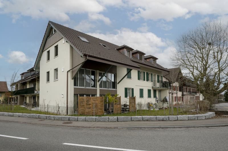 2.5 Zimmer Wohnung in 5242 Lupfig (11)