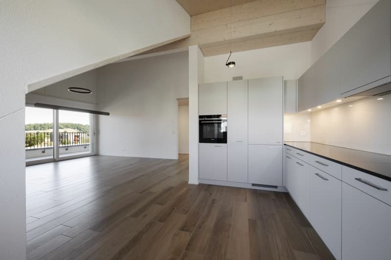 Wunderschöne 3.5 Zimmer Dachwohnung mit grosser Loggia (3)