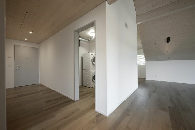 Wunderschöne 3.5 Zimmer Dachwohnung mit grosser Loggia (8)