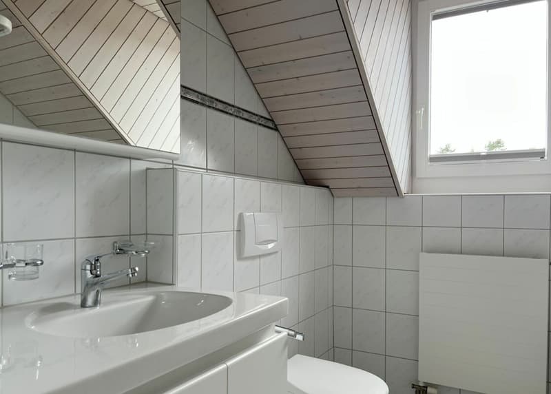Schöne und gepflegte 4.5 Zimmer Dachwohnung mit Gartensitzplatz (5)