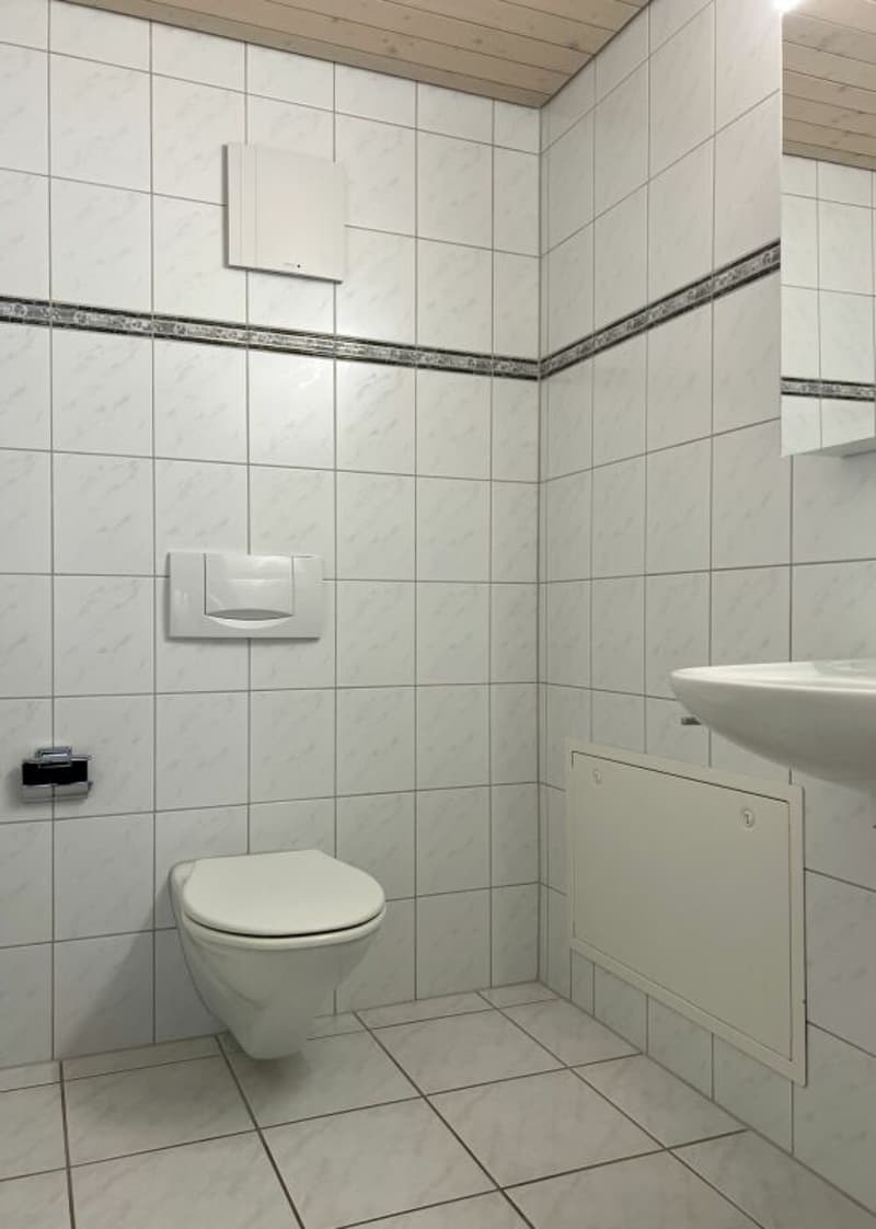 4.5 Zimmer Dachwohnung für junge Paare oder Einzelpersonen (7)