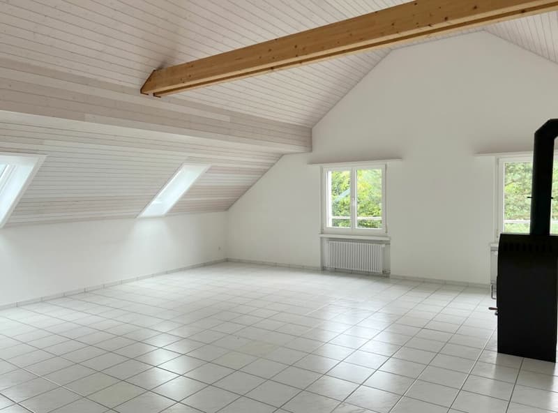 4.5 Zimmer Dachwohnung für junge Paare oder Einzelpersonen (2)
