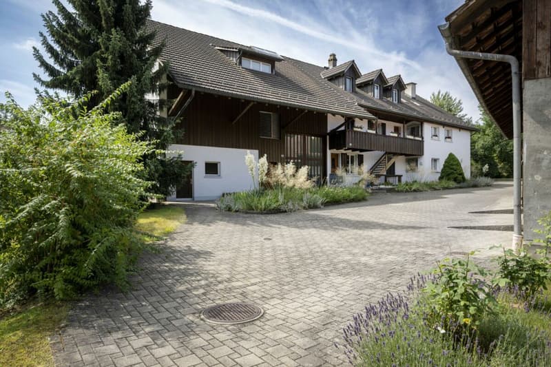 4.5 Zimmer Dachwohnung für junge Paare oder Einzelpersonen (11)