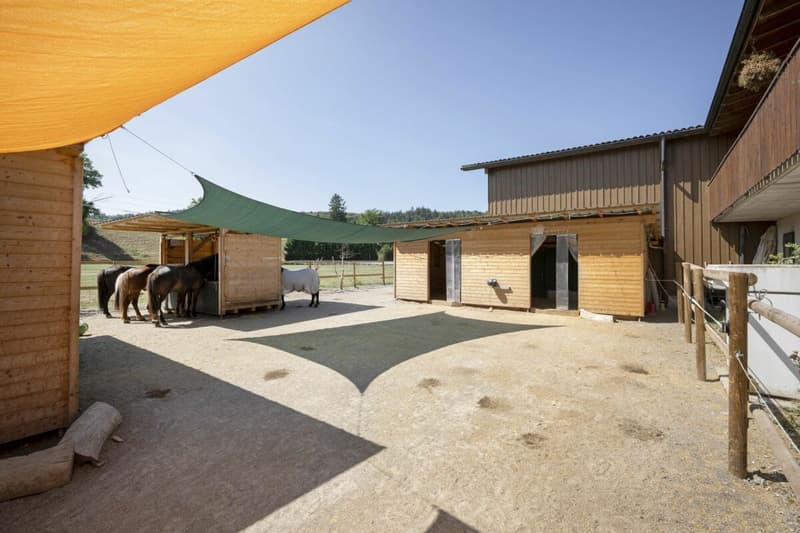 Reitanlage Mellingen (17)