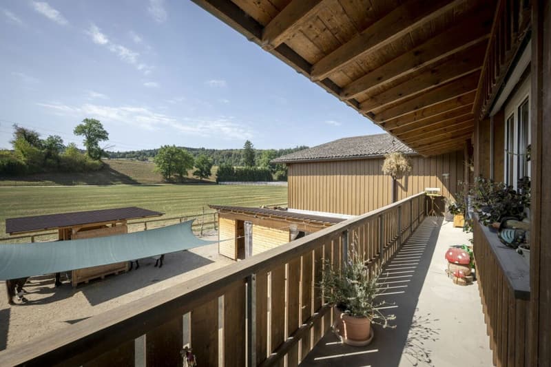 Reitanlage Mellingen (18)