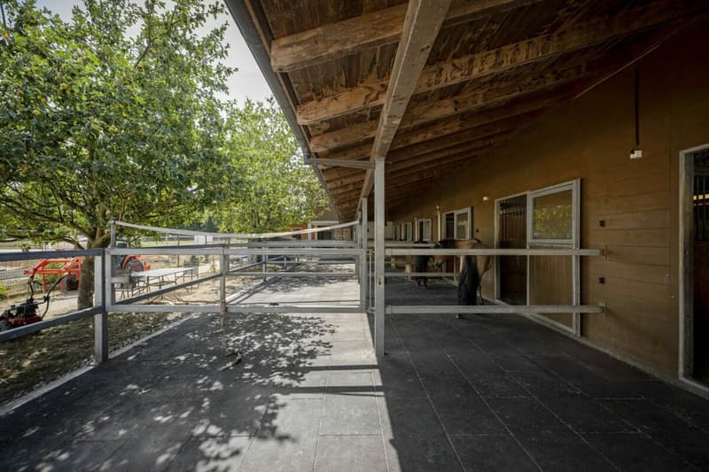 Reitanlage Mellingen (9)