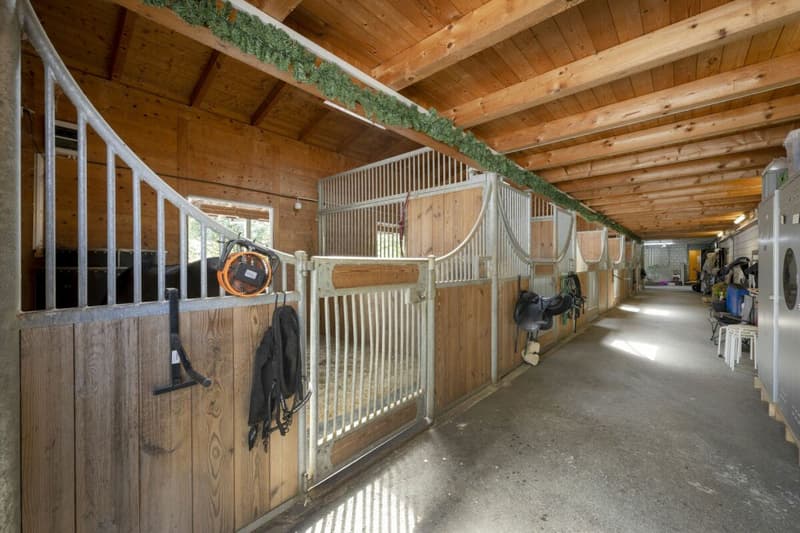 Reitanlage Mellingen (11)
