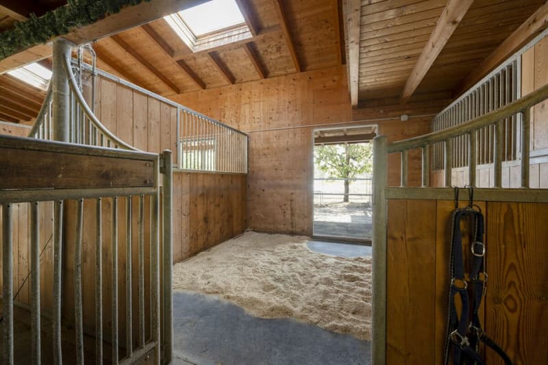 Reitanlage Mellingen (12)