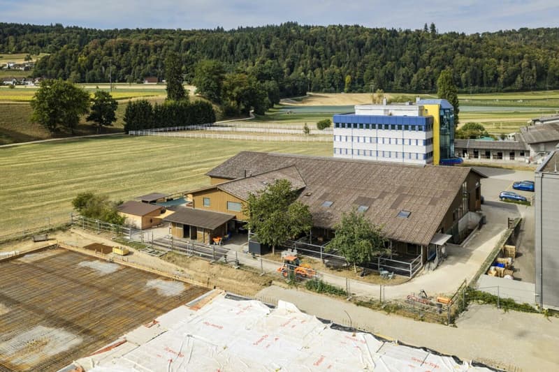 Reitanlage Mellingen (4)