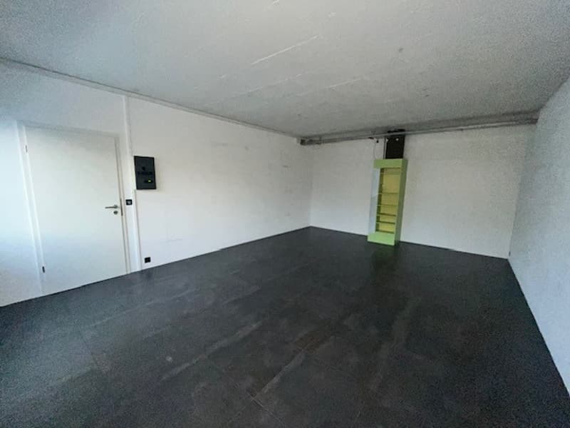 Empty room with white walls, black floor, white door, green shelf