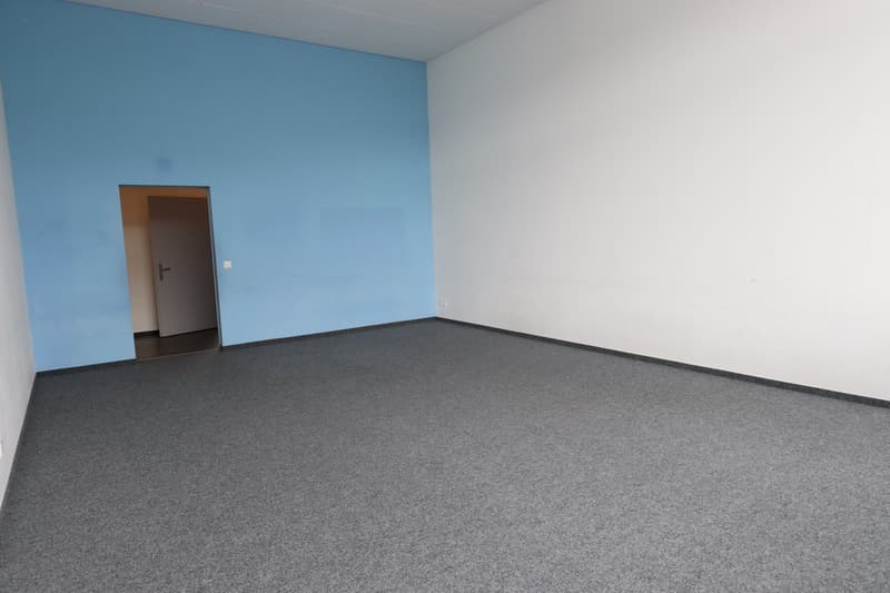Empty room with blue wall, white ceiling, white walls, door leading to another room, gray carpet.