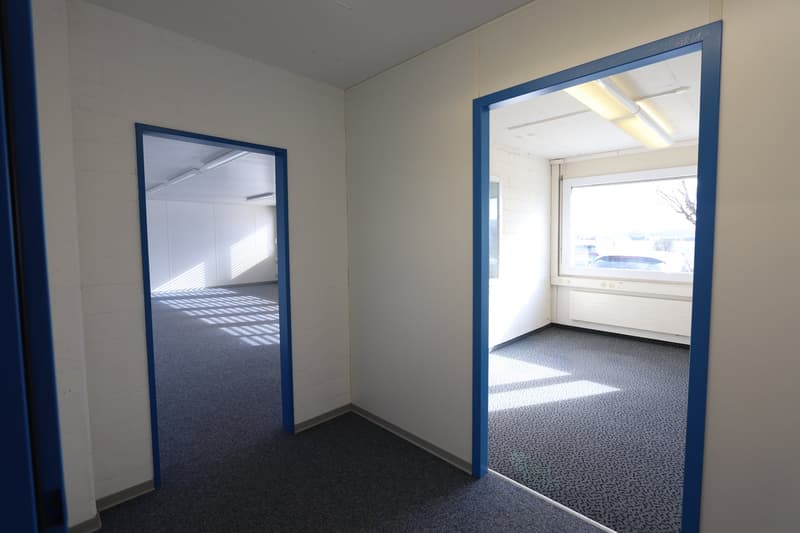 Empty room with white walls, blue door frames, carpeted floor, two doors, window with outside view, ceiling lights