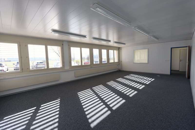 large room, large windows, white walls, ceiling lamps, white blinds, dark grey carpet