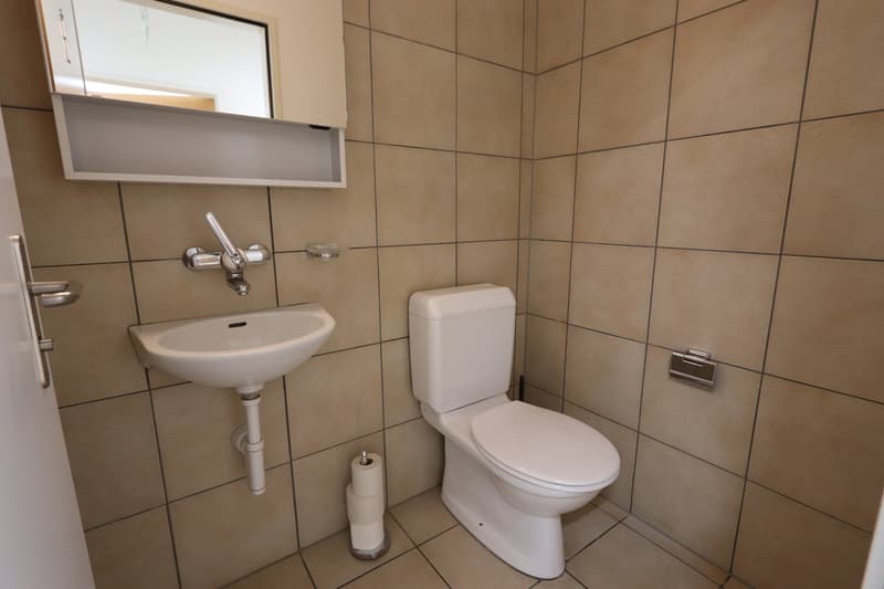 Bathroom with sink, mirror, toilet, and tissue paper holder