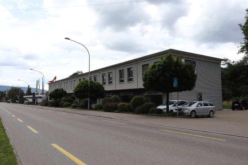 modern office building, gray exterior, large windows, streetlight, parked cars, greenery