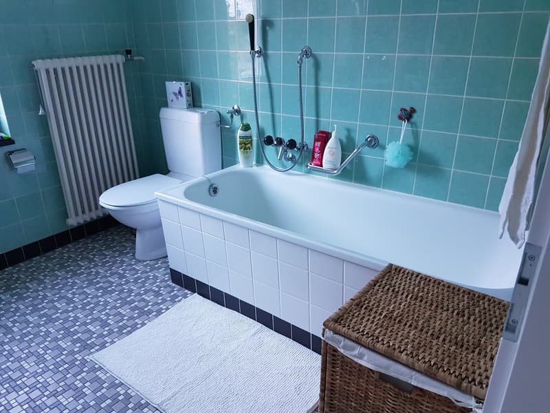 Charmantes 5-Zimmer-Einfamilienhaus in Gränichen (9)