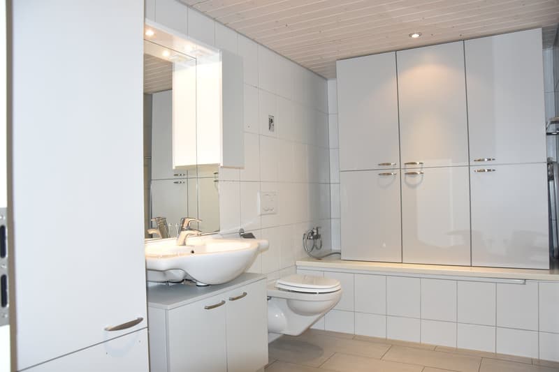 Moderne Büroräumlichkeiten in Aarwangen - 7 Zimmer auf 170 m² (10)