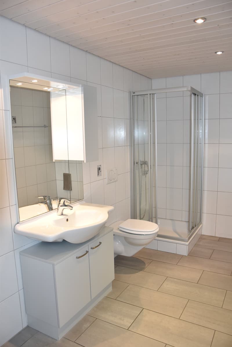 Moderne Büroräumlichkeiten in Aarwangen - 7 Zimmer auf 170 m² (11)